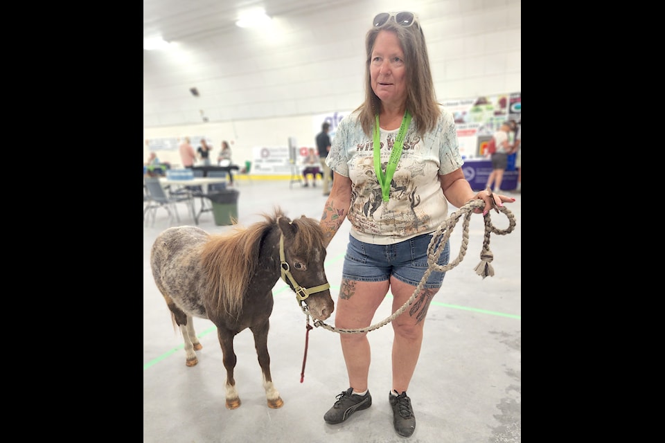 Free Rein head facilitator Rebecca Walker was taking miniature horse Freddie for a walk as a meet-and-greet and get him used to being around people during the Seniors Health and Wellness Fair. 