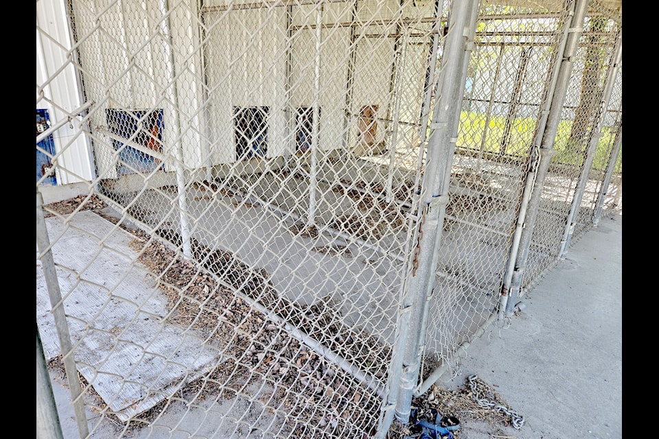 An image of the Grand Forks animal shelter shows runs not swept and litter, such ad rags and what looks like discarded leashes inside and outside the fenced-in runs. 