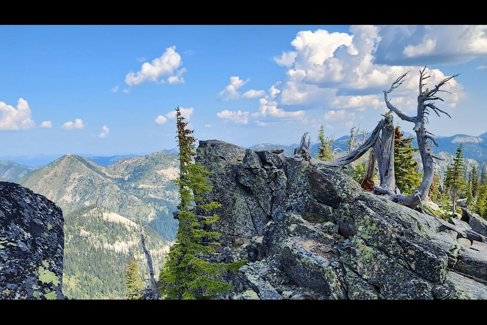 View from the Kootenay Pass on Sunday, July 9. Photo: Brenda Haley