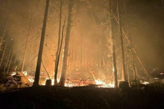 33641194_web1_230818-tdt-Suspicious-fire-m_1