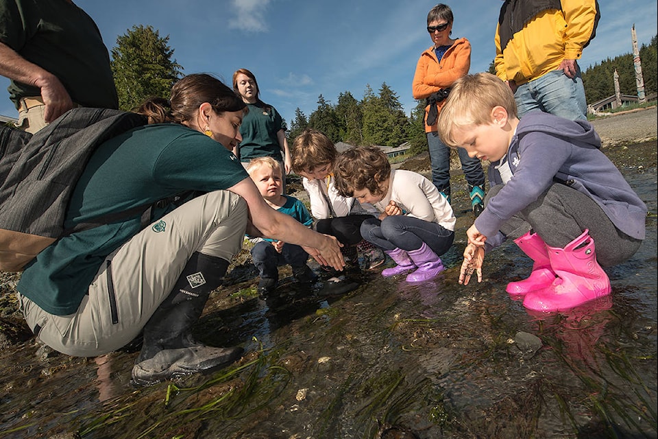 Guided intertidal walks and a beach seine are among the ocean-side activities at tomorrow BioBlitz in Gwaii Haanas (Gwaii Haanas photo)