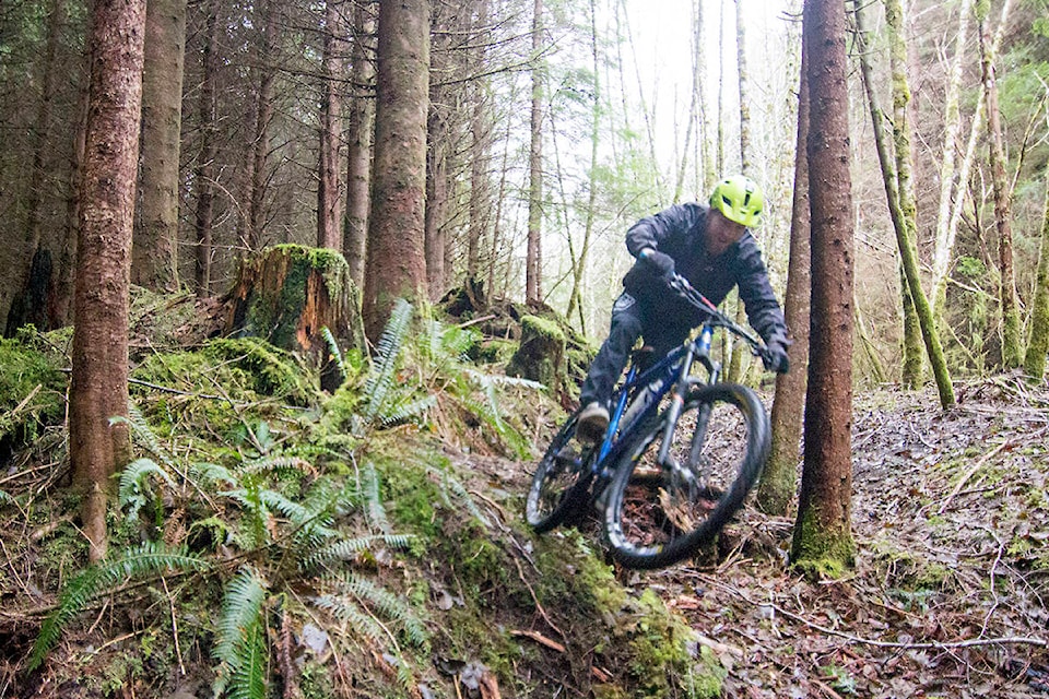 Benson Hilgemann flies down part of the Honna Loop trails that he and fellow mountain bikers are building a short ride west of Queen Charlotte in what old-timers might know as the “burn zone.” With about 2.5 km of trail built so far on well-drained skidder roads, Hilgemann hopes the Honna Loop will inspire new and experienced mountain bikers to join a new Haida Gwaii mountain bike society this March. (Andrew Hudson/Haida Gwaii Observer)