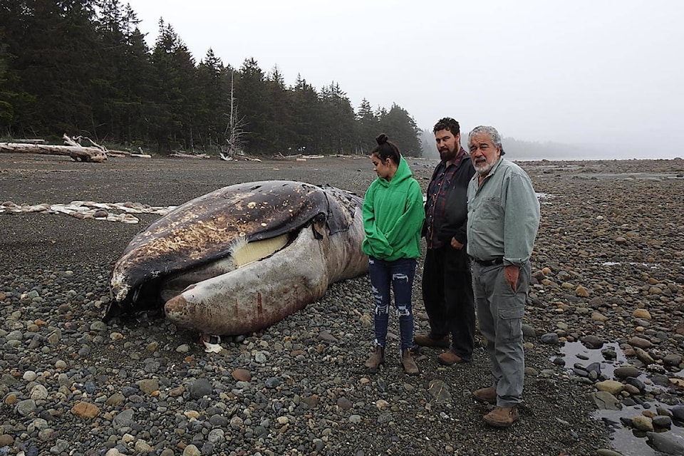 17113988_web1_Gray-Whale-south-of-Jungle-Beach--12-