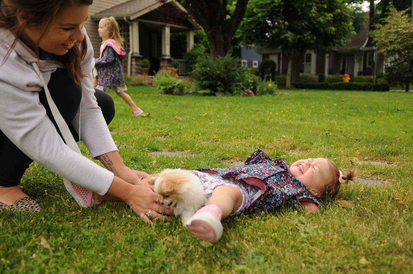 Two-year-old Ivy McLeod falls over from laughing so hard while playing with Lucky the puppy outside their Chilliwack home on Thursday, June 10, 2021. (Jenna Hauck/ Chilliwack Progress)