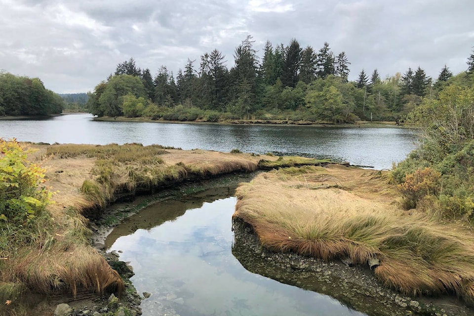 29466320_web1_220615-CPW-LJI-CampbellRiver-Estuary-restoration-estuary_1