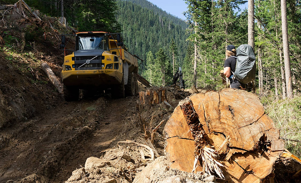 30118314_web1_200924-RTR-caribou-logging_3