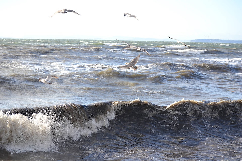 34016690_web1_windy-WhiteRock6