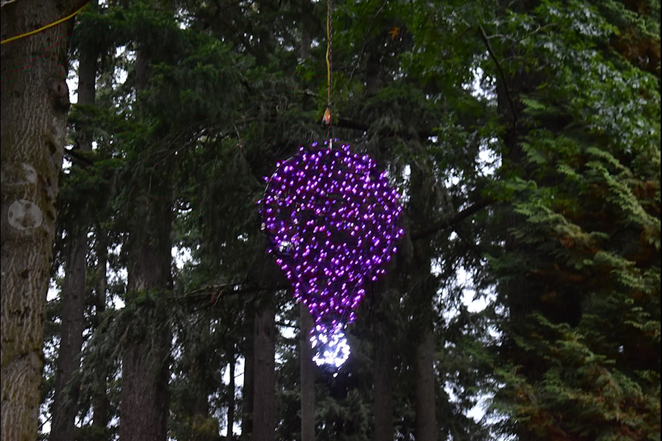 Rain and wind were no obstacle for the crowd that gathered for the Purple Light Nights (PLN) opening ceremony on Tuesday (Oct. 1) at Memorial Park.