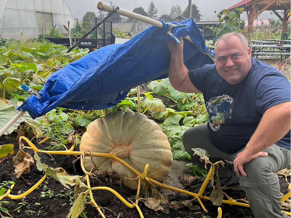 pumpkin-sale