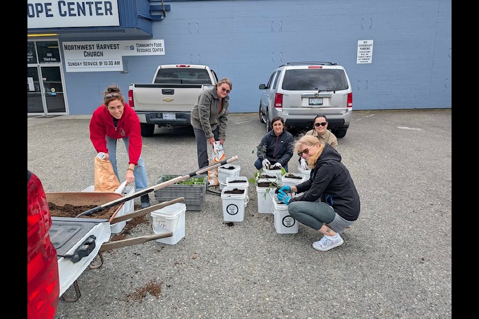 Members of the Hope Food Collective and Yale First Nation Green House preparing garden containers. 