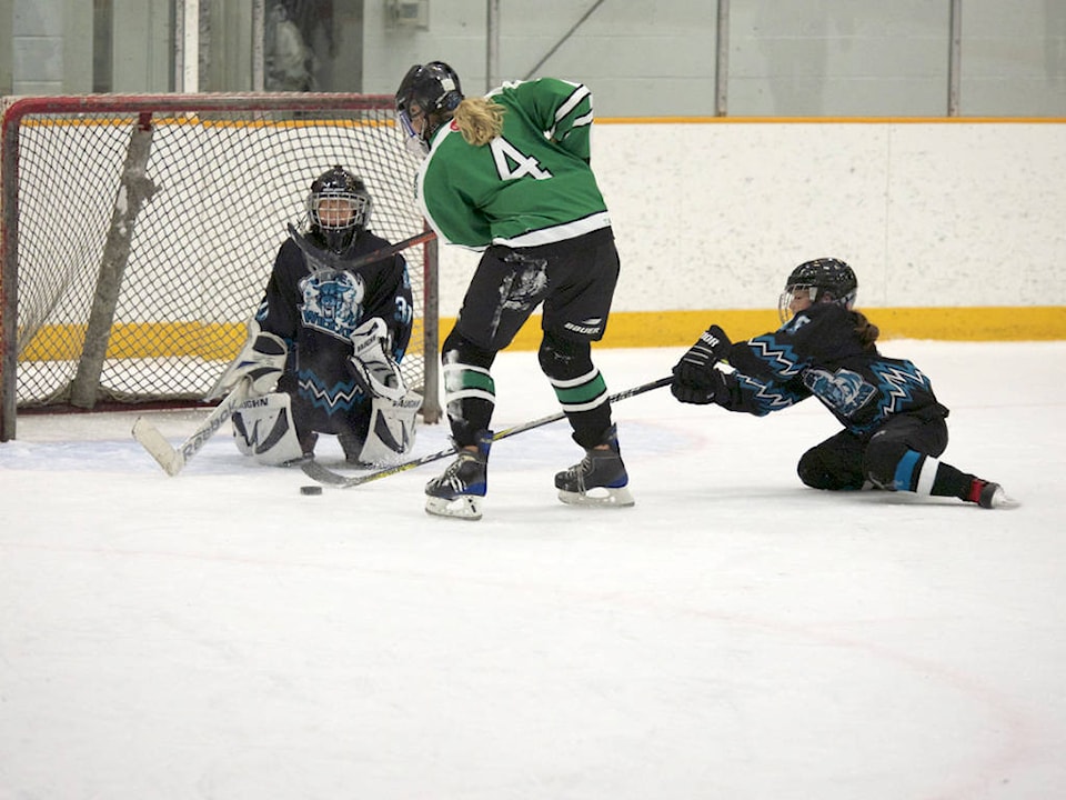 14113379_web1_181025-HSL-SportsHockey_1