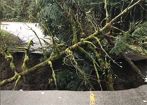 The road washed out in Golden Ears Provincial Park.
(Special to The News)
