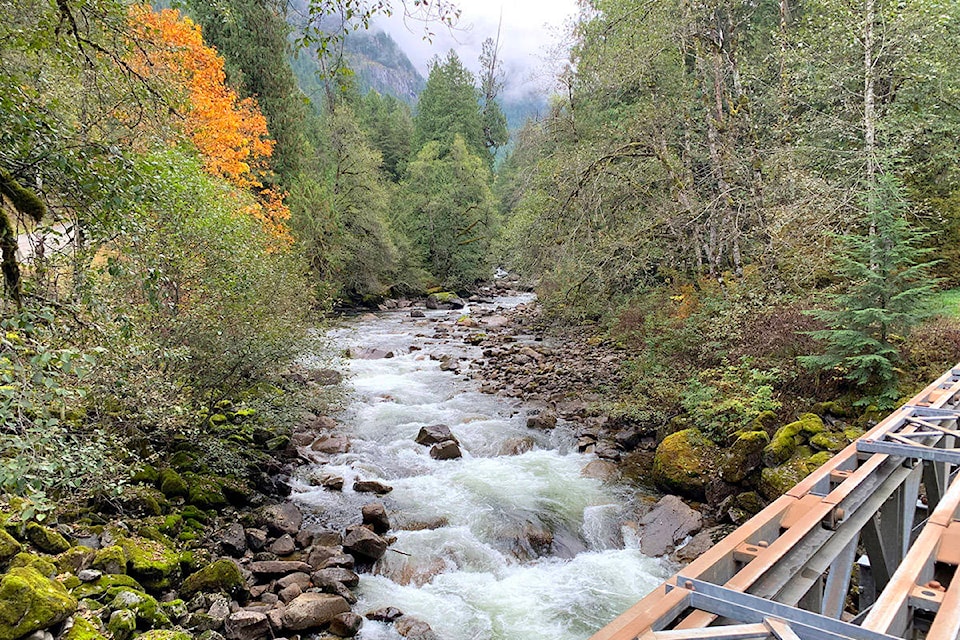 Silver Skagit River near Hope, B.C. (Jessica Peters/ Black Press)