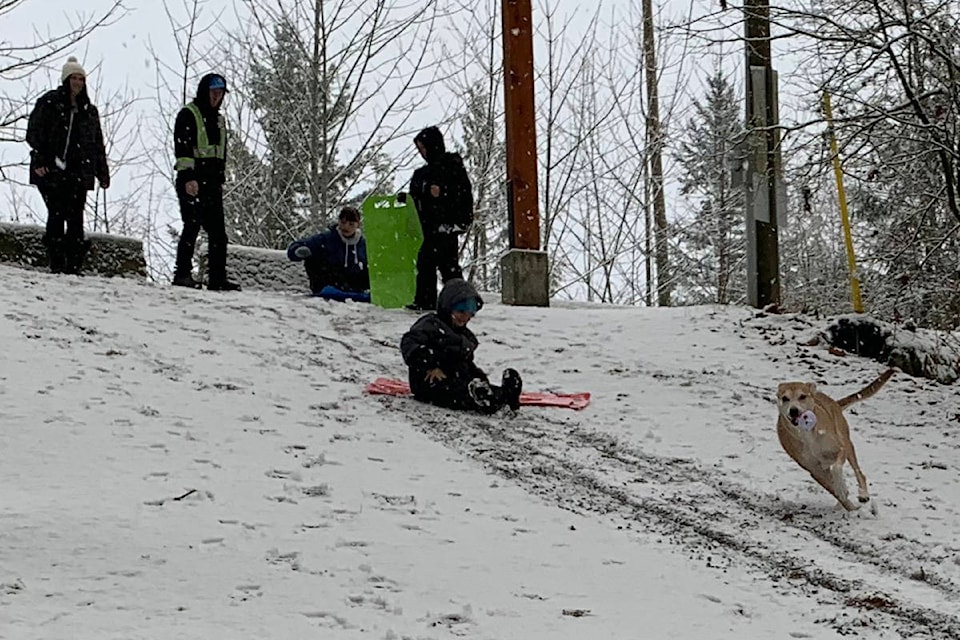 Rylen Dodd takes a pass at the hill at Kawkawa Lake in Hope on Friday morning (Dec. 27), racing his dog Bentley down the hill. (Jessica Peters/ Hope Standard)