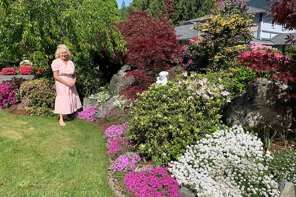 Laurie Trayer stands by one of the gardens in her yard on Airport Road. The hydrangeas are in full bloom for the next week or so, she says.
