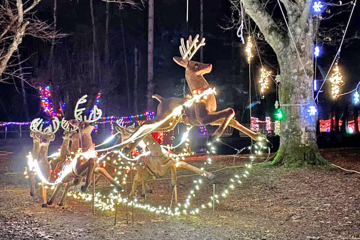 Last year, the Christmas in Williams Park event in Langley was limited to six days due to COVID-19. This year, it will run for three weeks, but will still be a drive-through event. (Barbara Sharp/Special to Langley Advance Times)