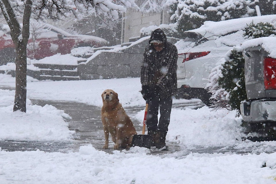 Abbotsford saw its first snowfall of the season on Saturday, Dec. 4, 2021. (Shane MacKichan)