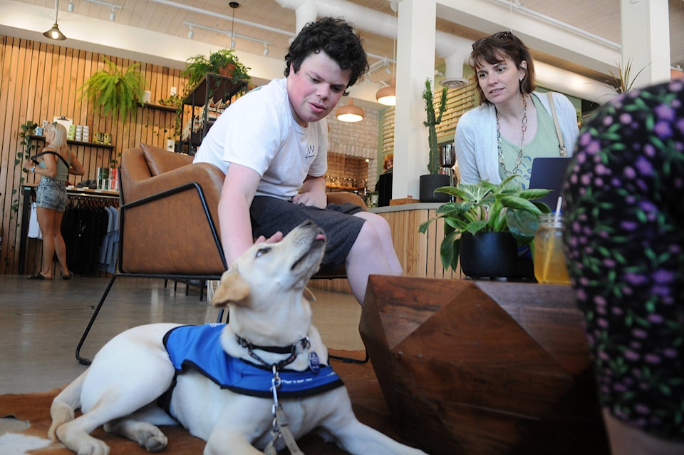 29608808_web1_220628-CPL-Ryder-Newhouse-Meets-Service-Dog_1