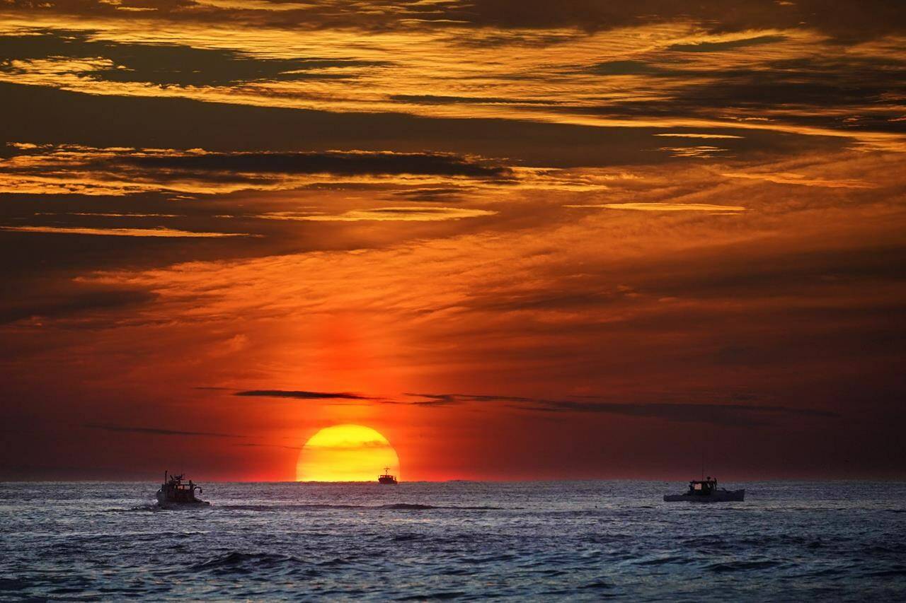 Sun hope sales deep sea