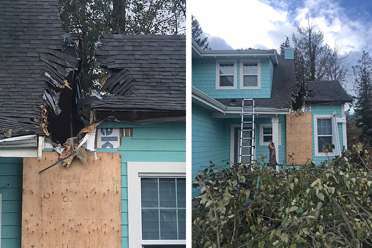 A tree fell on this house on Kokanee Lane in Chilliwack during the windstorm on Friday, Nov. 4, 2022. (Tony Gore)