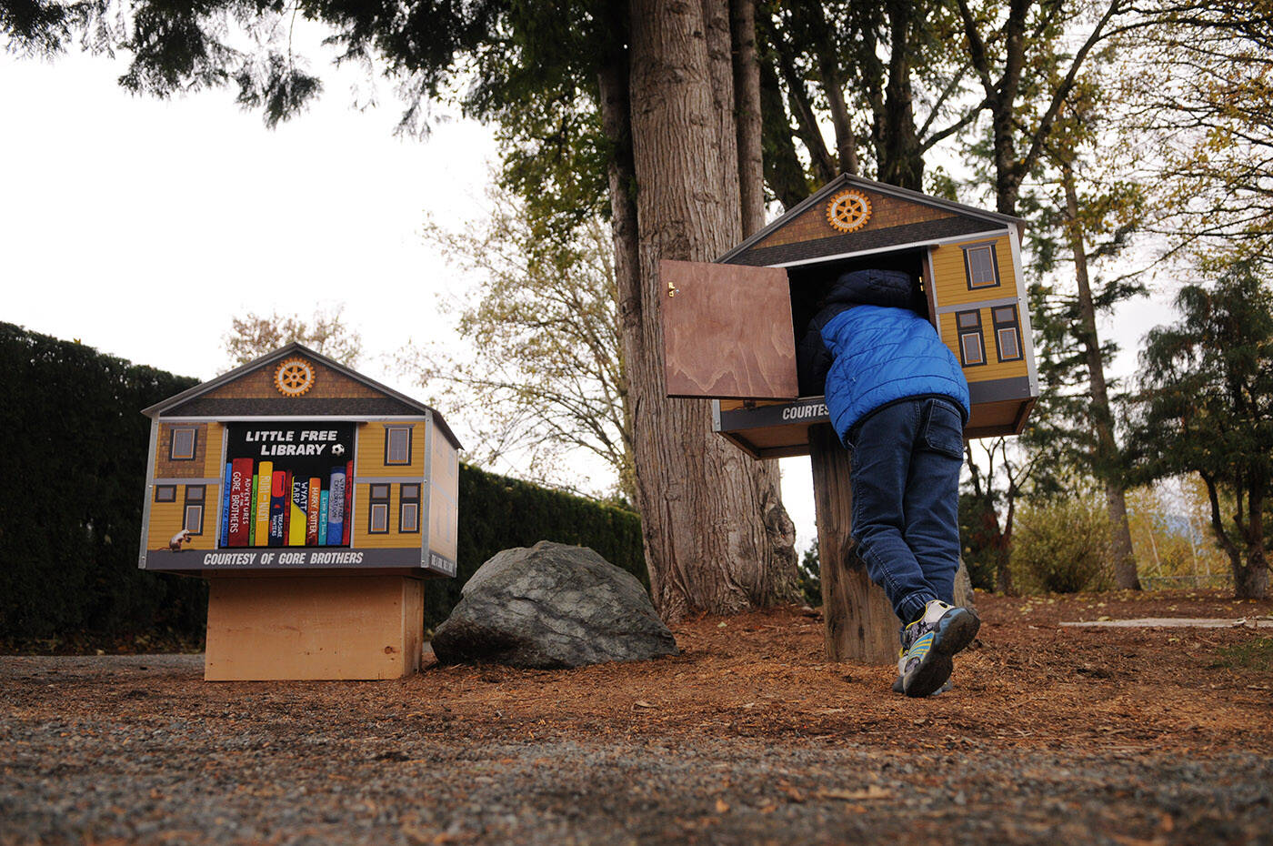 Jack Gore, 6, sticks his head inside a little library. The five book houses with murals on them were unveiled at Fairfield Park in Chilliwack on Thursday, Nov. 10, 2022. (Jenna Hauck/ Chilliwack Progress)