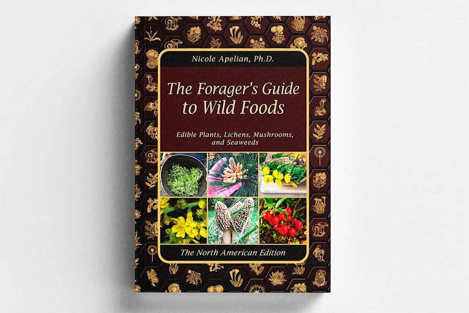 31255760_web1_M2-HSL-20221208Foragers-Guide-to-Wild-Foods-Teaser-copy