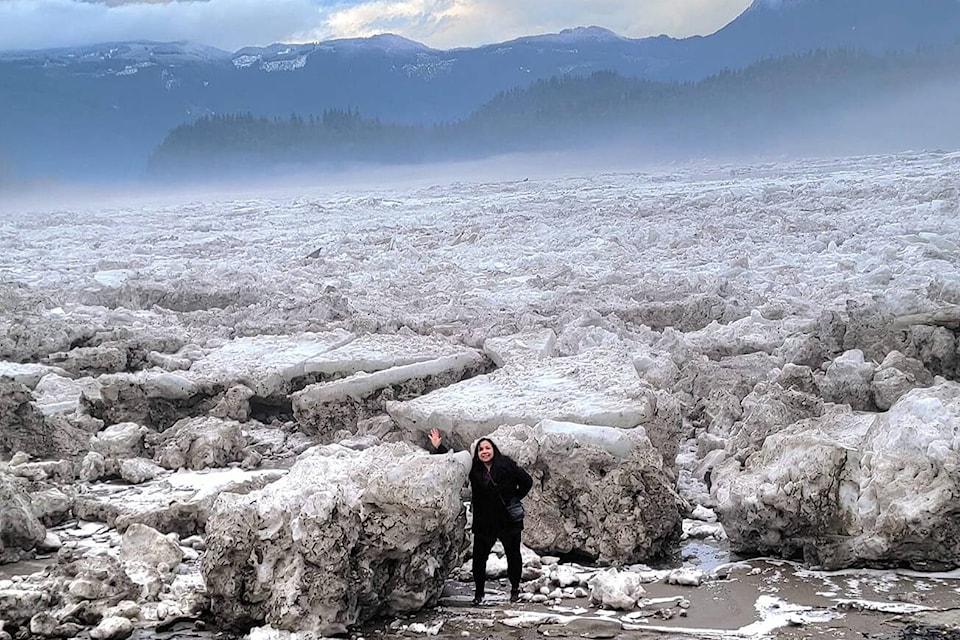Huge blocks of ice line the Fraser River near the Agassiz-Rosedale Bridge following a severe cold snap and subsequent winter storms. (Photo/Valerie Pentz)