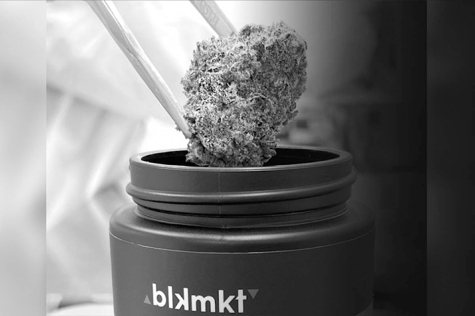 31715699_web1_230202-KCN-blk-mkt-cannabis-awards-_1