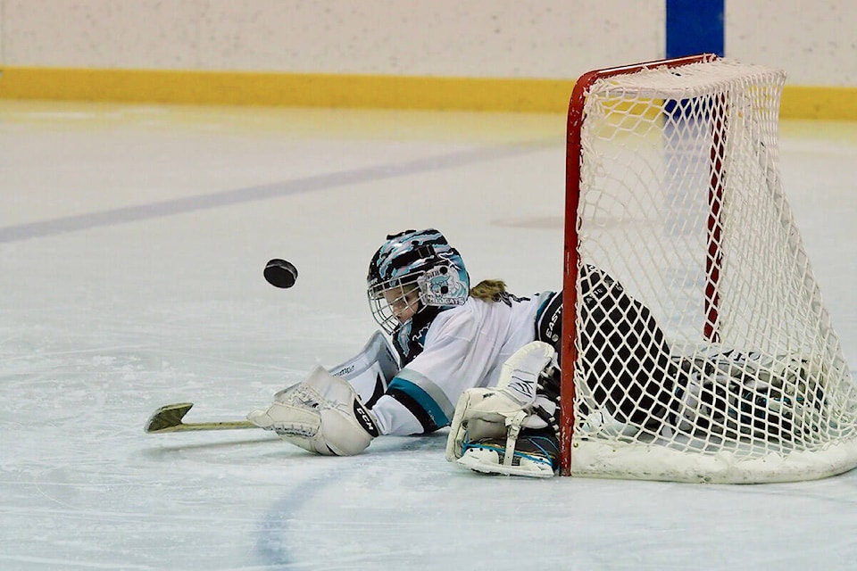 Hope Minor Hockey (HMH) is putting out a call for help, looking to address a severe shortage of volunteers. (Barry Stewart/ Hope Standard)