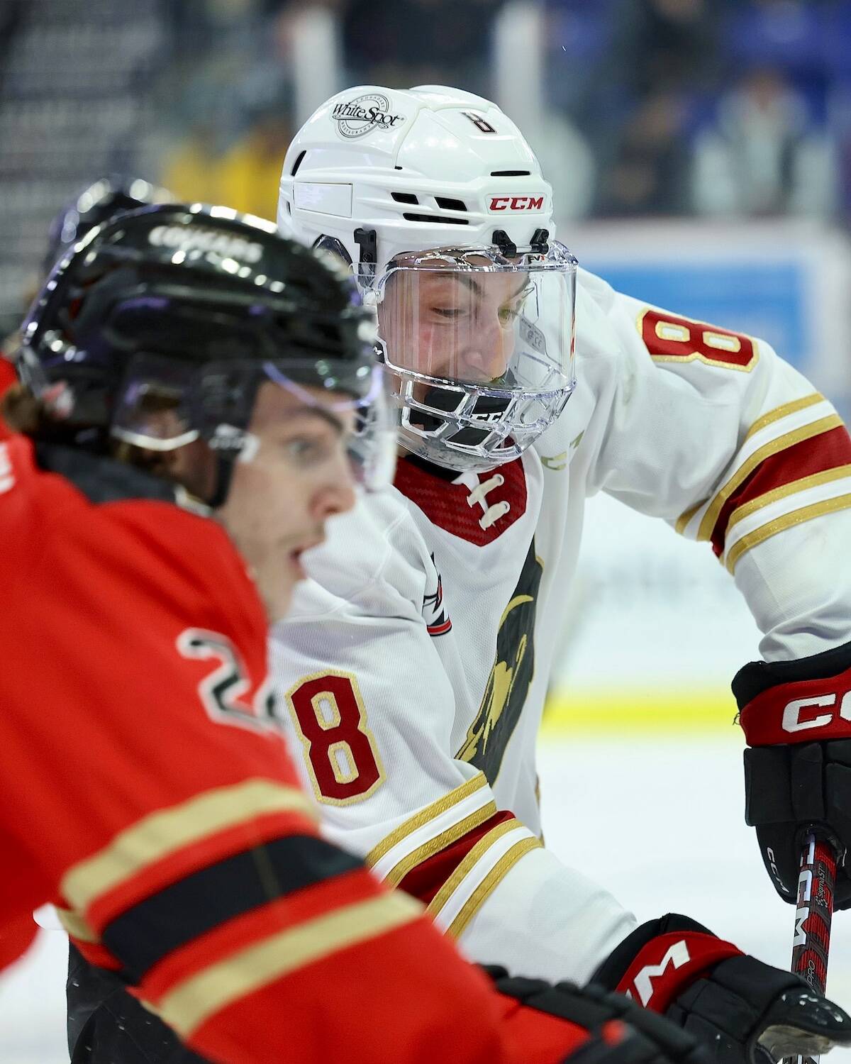 Giants captain Ty Thorpe scored as the team saw another game go into overtime, this time losing 5-4 to Prince George Cougars Friday, Feb. 24, at Langley Events Centre. (Rob Wilton/Special to Langley Advance Times)