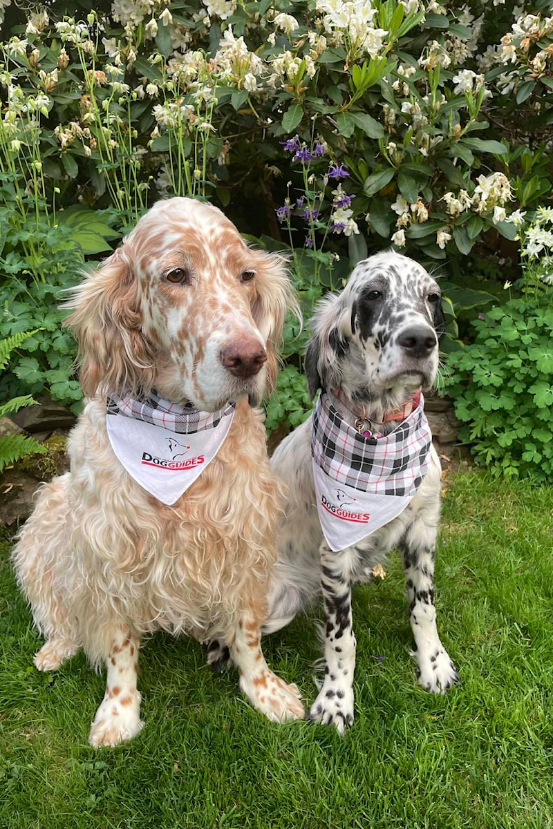 Walk for guide dogs 2025