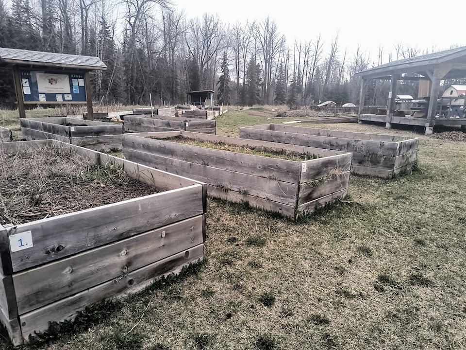 250507-hto-copelandcommunitygarden