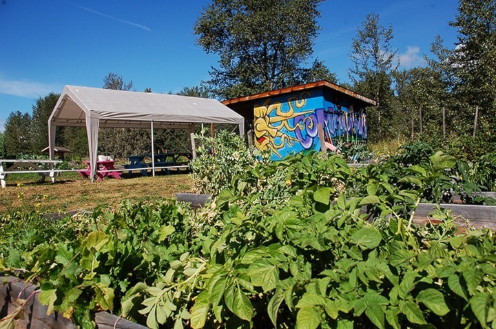 95816houstonCommunityGarden