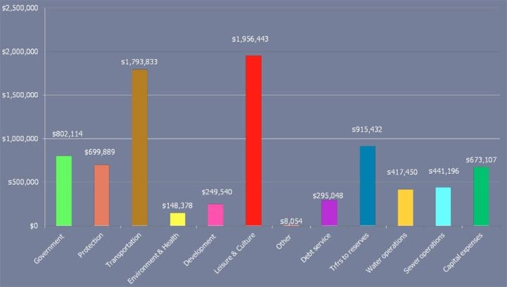 99048houstonHoustonExpenditures