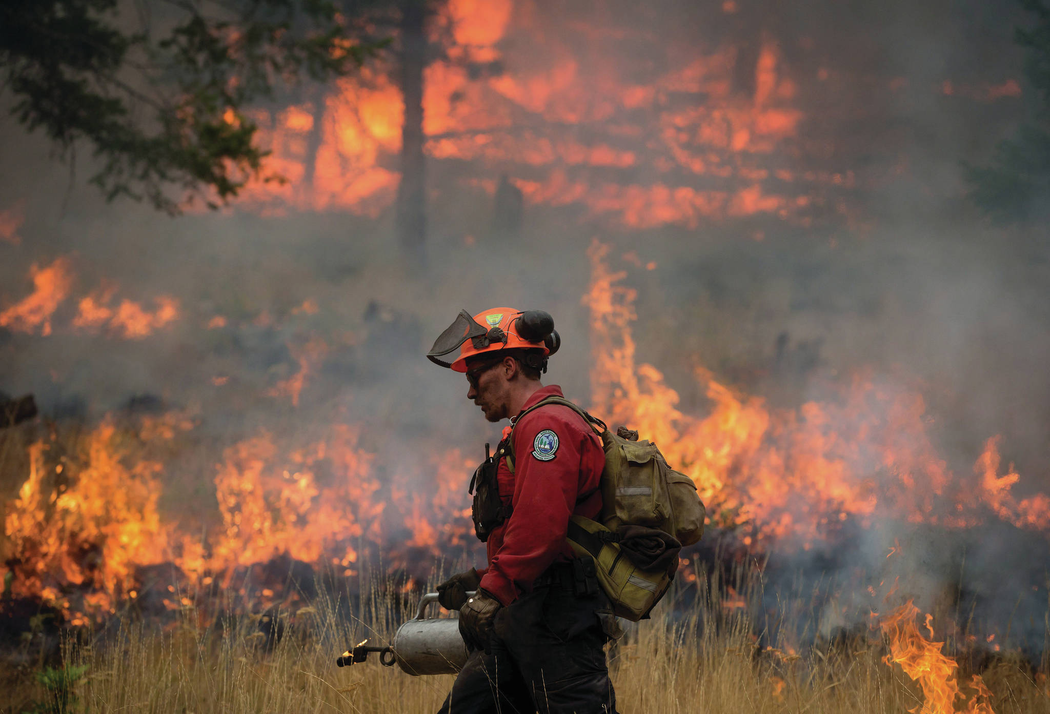 B.C. loses more than one million hectares to wildfires