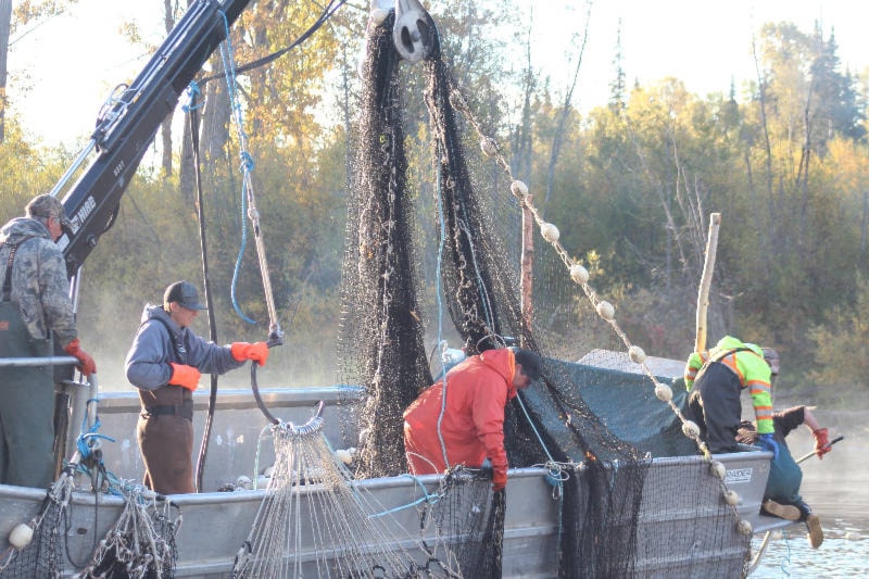 13087089_web1_Talok-fisheries_selective-fisheries_-Lake-Babine-Nation_Credit-Greg-Taylor