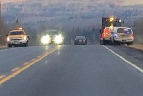 Six cattle killed on Hungry Hill