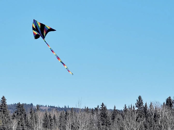 21232458_web1_200415-Hto_kite_flying-kite_1