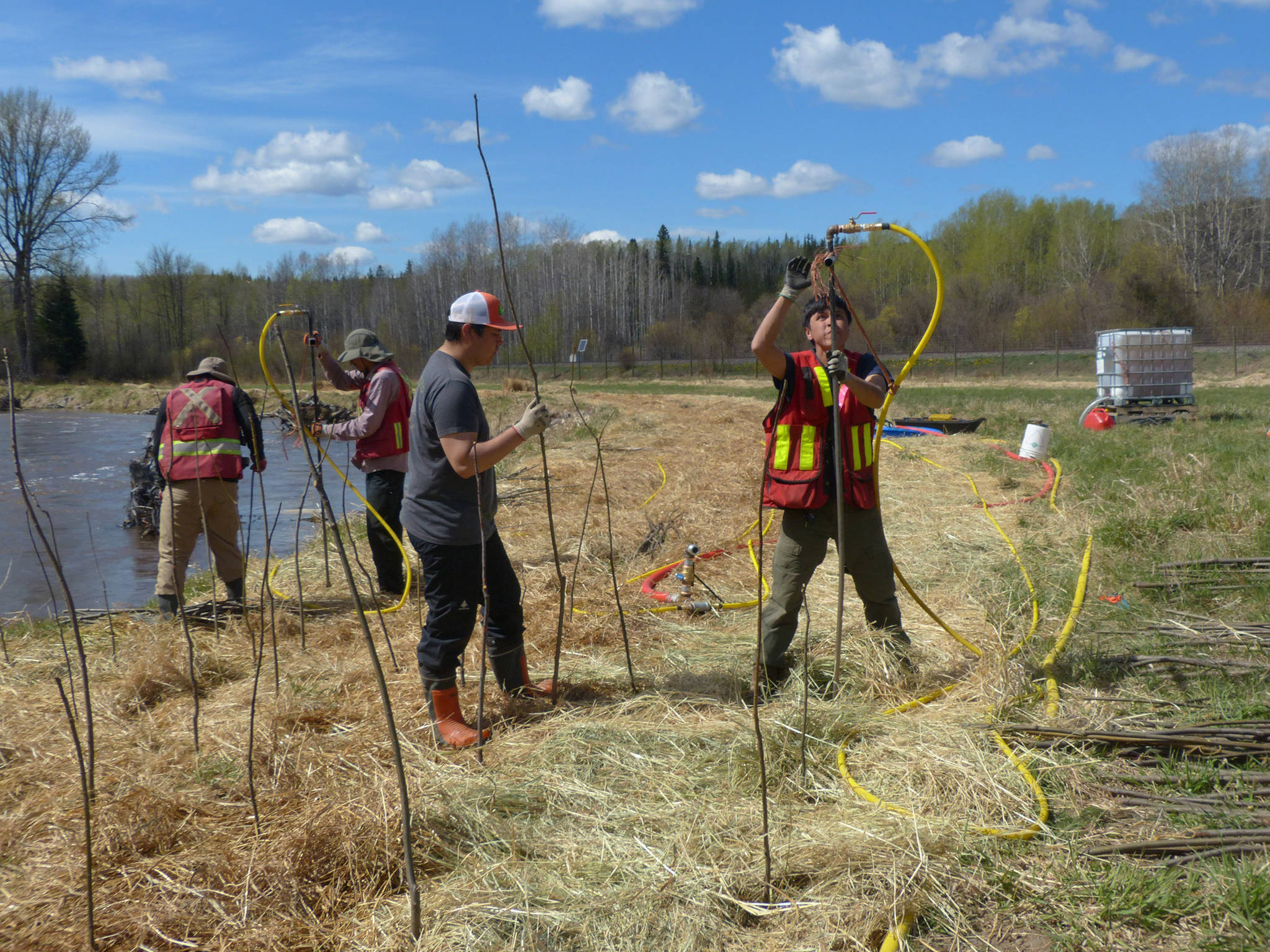 25253381_web1_210602-HTO-Willow.Planting-WILLOW_3