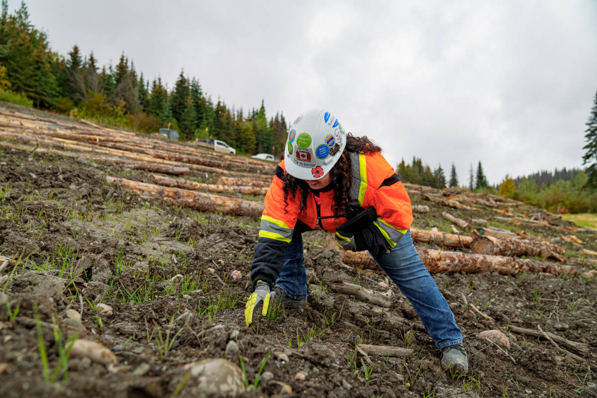As an Environmental Inspector, Ashley plays a key role in the reclamation process, ensuring that we bring the land as close to the original state as possible following construction.