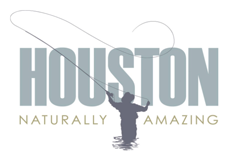32176784_web1_District-of-Houston-Logo