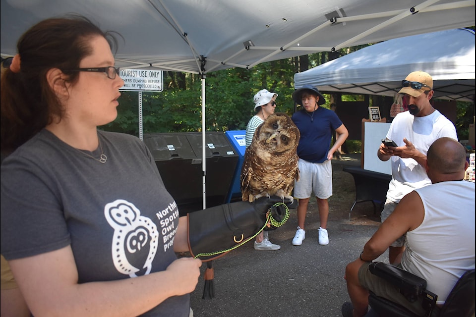 Small Eyes, an animal ambassador, is one of the Northern Spotted Owls that is part of the breeding program in Langley. As of July 25, three owls — two males and one female — are living in the wild in Fraser Canyon/Spuzzum First Nation territory. (Kemone Moodley/Hope Standard)