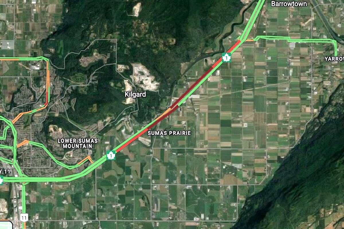 Bear spotted on highway in Abbotsford causes traffic mayhem on Oct. 3, 2023. (Google Maps)