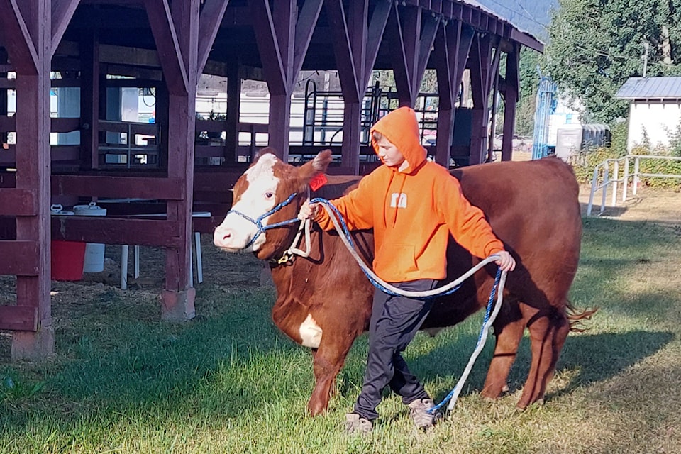 4-h
