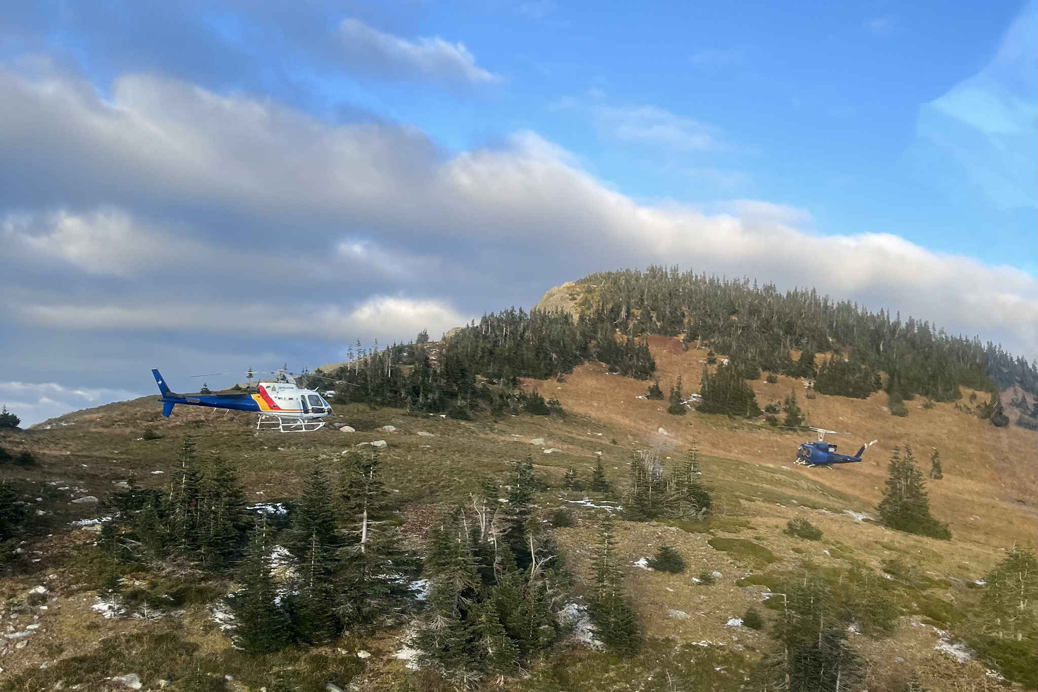 Mother grizzly attacks and injures 2 hikers near Prince George