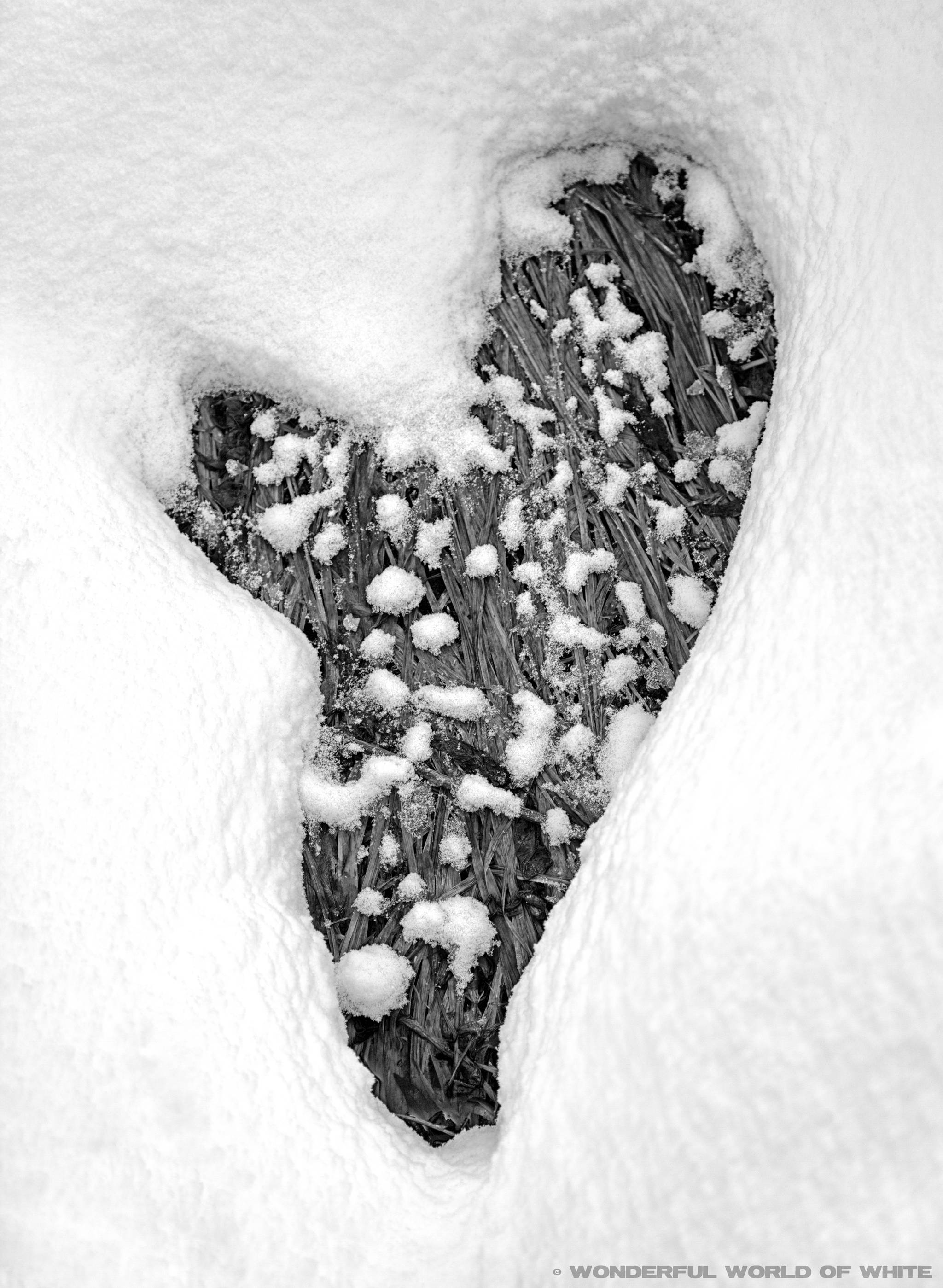 web1_Curtis-Cunningham-Heart-of-Snow