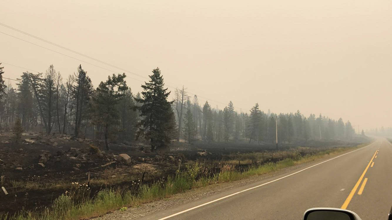 7675857_web1_Hwy-20-wildfire-burnt-forest2