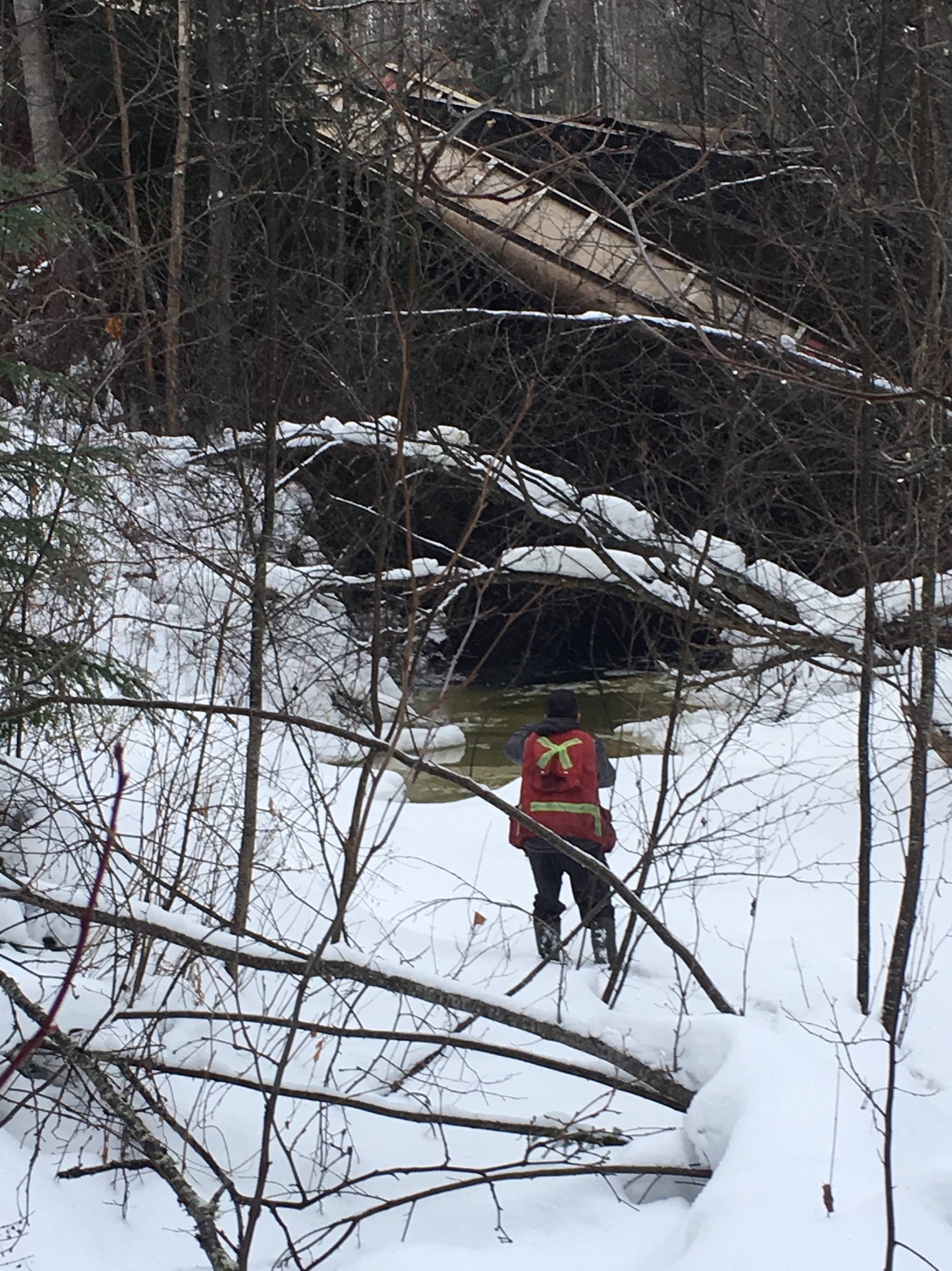 10260131_web1_New-Hazelton-derailment-Skeena-Watershed-in-creek2