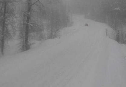 10529634_web1_Trout-creek-webcam