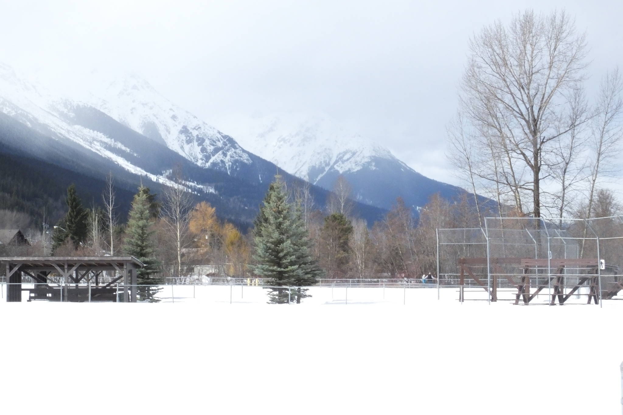 11352414_web1_Elks-Park-field-winter